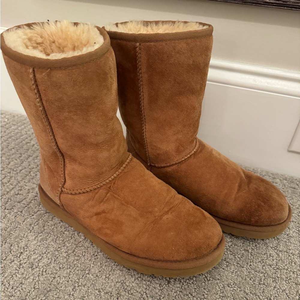 Classic Chesnut Uggs